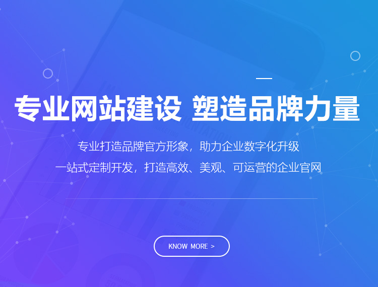 澄迈建站-专业网站建设 塑造品牌力量